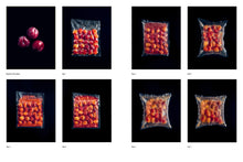 Load image into Gallery viewer, The Noma Guide to Fermentation